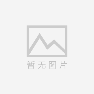C330平板夯實(shí)機(jī)